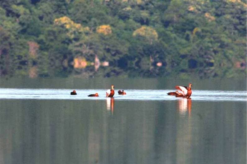 Danau Sano Nggoan Flores