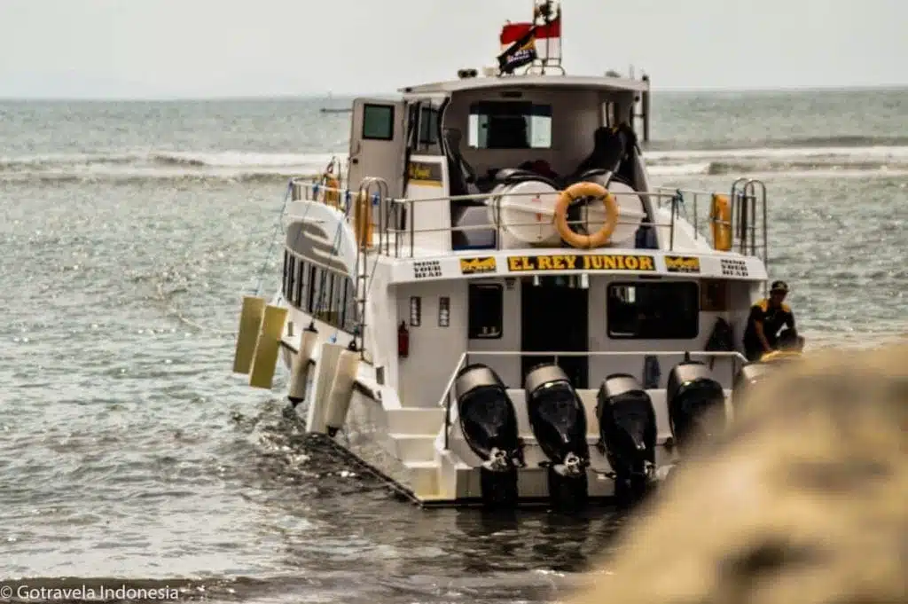 El rey junior fastboat nusa penida bali