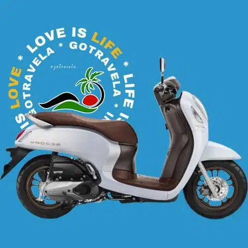 Hire Moped in Bali