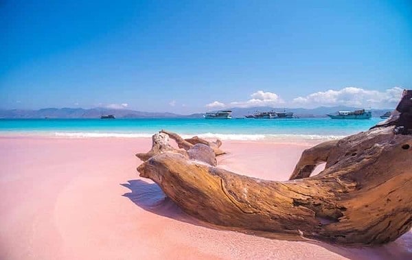 Pink Beach Komodo Island