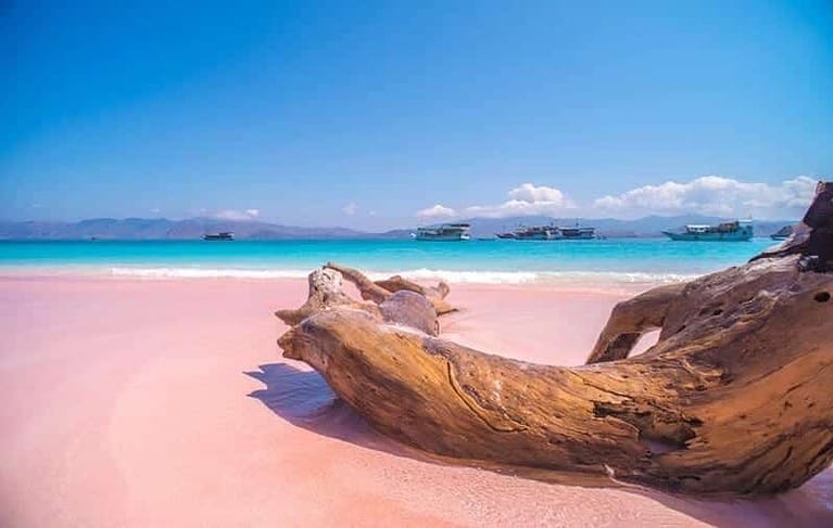 Pink Beach Komodo Island